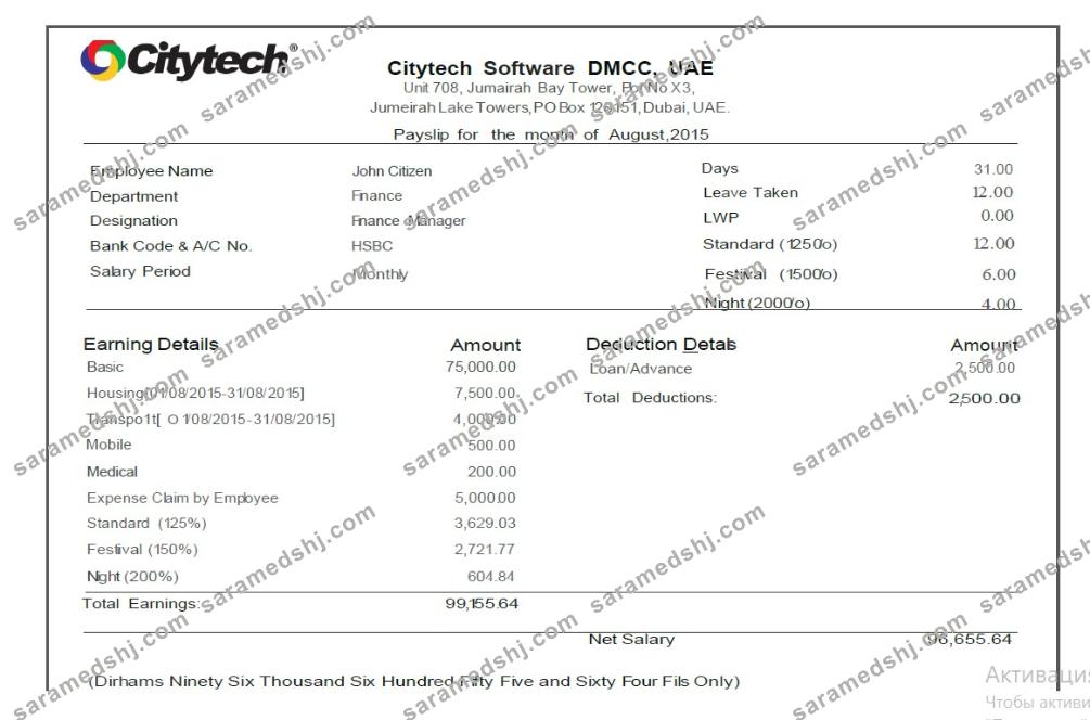 Citytech Software DMCC